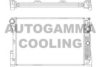 AUTOGAMMA 105208 Radiator, engine cooling